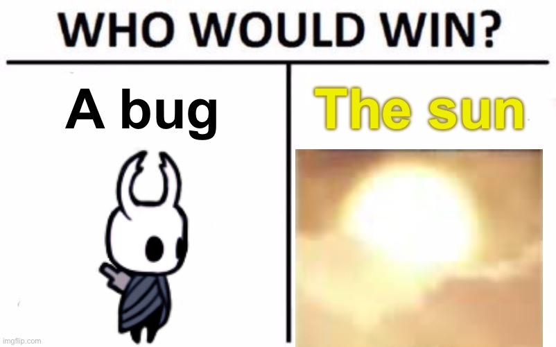 What am I going to fight, the Sun? Also Hollow Knight OC incoming! | A bug; The sun | image tagged in memes,who would win | made w/ Imgflip meme maker