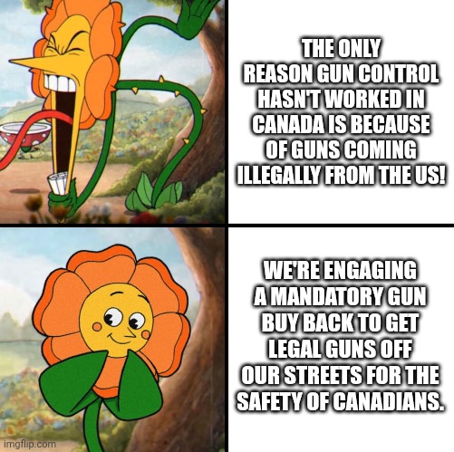 And Canadians will still go along with it. Source: I grew up in Toronto. | THE ONLY REASON GUN CONTROL HASN'T WORKED IN CANADA IS BECAUSE OF GUNS COMING ILLEGALLY FROM THE US! WE'RE ENGAGING A MANDATORY GUN BUY BACK TO GET LEGAL GUNS OFF OUR STREETS FOR THE SAFETY OF CANADIANS. | image tagged in angry flower,gun control | made w/ Imgflip meme maker