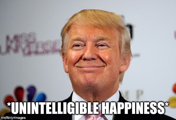 Donald trump approves | *UNINTELLIGIBLE HAPPINESS* | image tagged in donald trump approves | made w/ Imgflip meme maker