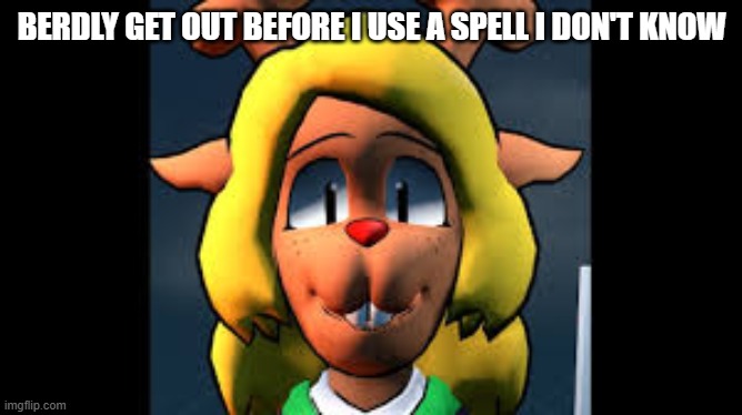 BERDLY GET OUT BEFORE I USE A SPELL I DON'T KNOW | made w/ Imgflip meme maker