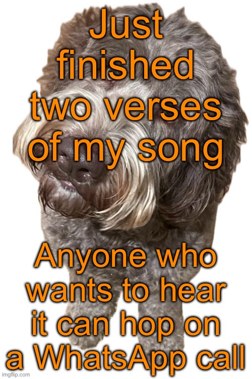 Norther's dog | Just finished two verses of my song; Anyone who wants to hear it can hop on a WhatsApp call | image tagged in norther's dog | made w/ Imgflip meme maker