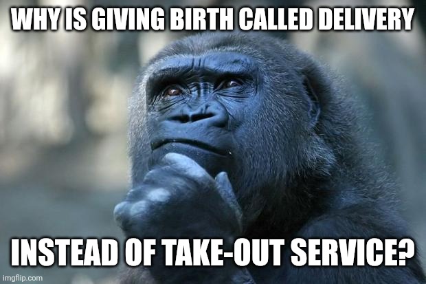 Inquiring minds want to know | WHY IS GIVING BIRTH CALLED DELIVERY; INSTEAD OF TAKE-OUT SERVICE? | image tagged in deep thoughts,childbirth | made w/ Imgflip meme maker