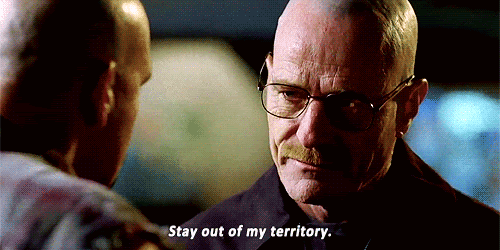 Walter white stay out of my territory Blank Meme Template