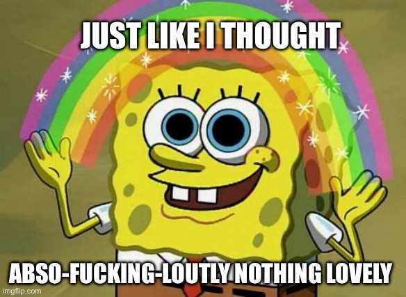 spongebob rainbow | JUST LIKE I THOUGHT ABSO-FUCKING-LOUTLY NOTHING LOVELY | image tagged in spongebob rainbow | made w/ Imgflip meme maker
