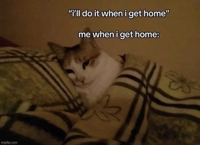 my bed has me in a chokehold | image tagged in memes,funny,cats,sad but true,so true,relatable memes | made w/ Imgflip meme maker