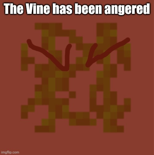 The Vine has been angered | made w/ Imgflip meme maker