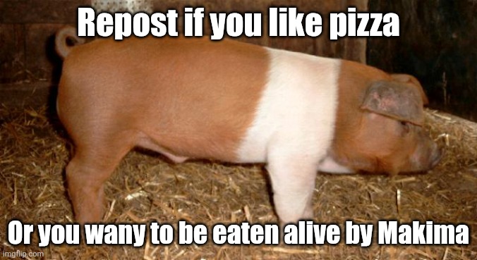 Sex | Repost if you like pizza; Or you wany to be eaten alive by Makima | image tagged in five nights at freddys,joe biden | made w/ Imgflip meme maker