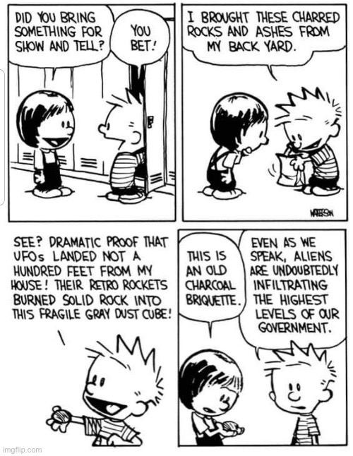 One man’s charcoal briquette is another man’s ufo evidence… | image tagged in calvin and hobbes,comics,show and tell,susie,charred remains,ufo | made w/ Imgflip meme maker