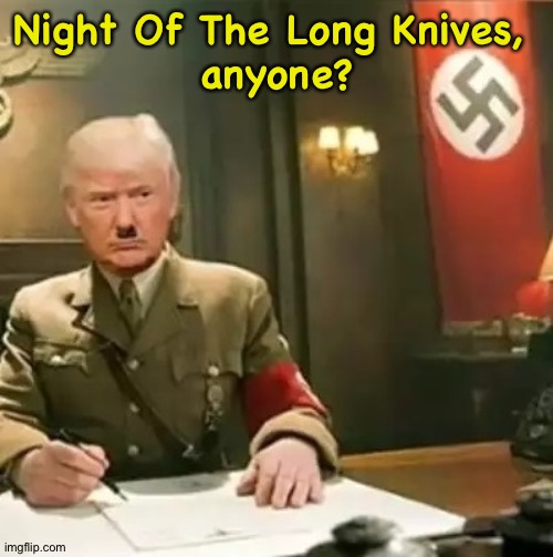 Donald Trump Hitler | Night Of The Long Knives, 
anyone? | image tagged in donald trump hitler | made w/ Imgflip meme maker