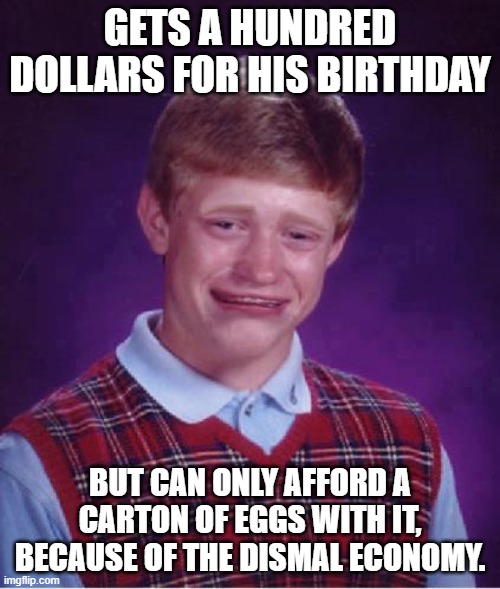 Not true just yet... but soon | GETS A HUNDRED DOLLARS FOR HIS BIRTHDAY; BUT CAN ONLY AFFORD A CARTON OF EGGS WITH IT, BECAUSE OF THE DISMAL ECONOMY. | image tagged in bad luck brian cry | made w/ Imgflip meme maker