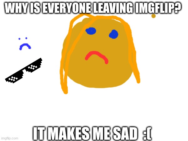 why????? | WHY IS EVERYONE LEAVING IMGFLIP? IT MAKES ME SAD  :( | image tagged in sad,memes | made w/ Imgflip meme maker