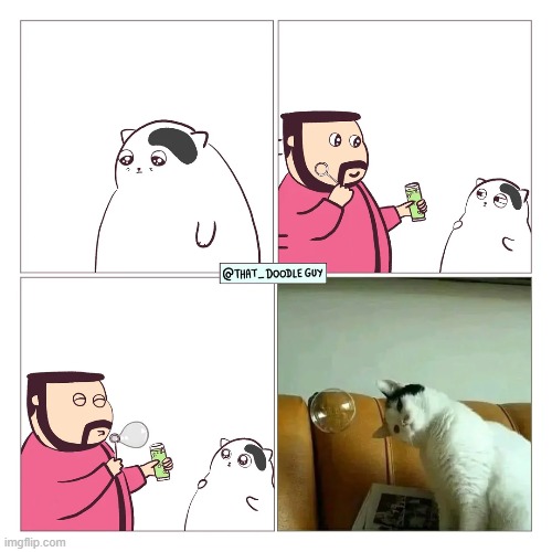 image tagged in cat,bubble,bubbles | made w/ Imgflip meme maker