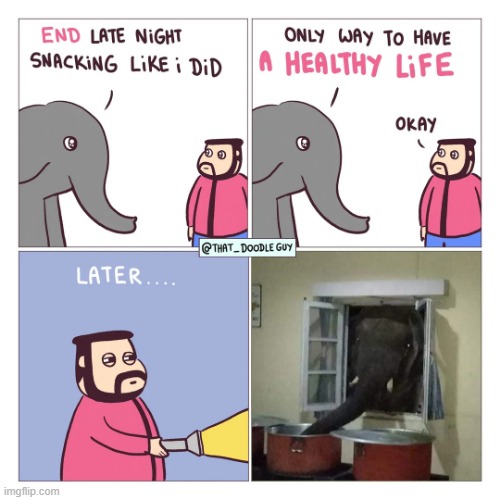 image tagged in elephant,late night,snacking,healthy,life,liar | made w/ Imgflip meme maker
