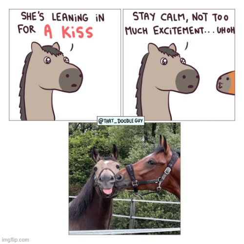 image tagged in horse,horses,kiss,lol | made w/ Imgflip meme maker