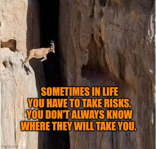 Sometimes in life you have to take risks. You don't always know where they will take you. | SOMETIMES IN LIFE YOU HAVE TO TAKE RISKS. YOU DON'T ALWAYS KNOW WHERE THEY WILL TAKE YOU. | image tagged in confidence goat,confidence,risk,future | made w/ Imgflip meme maker