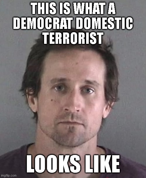THIS IS WHAT A
DEMOCRAT DOMESTIC
TERRORIST; LOOKS LIKE | made w/ Imgflip meme maker