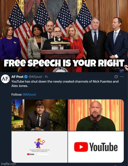Free Speech is your right | image tagged in house democrats | made w/ Imgflip meme maker