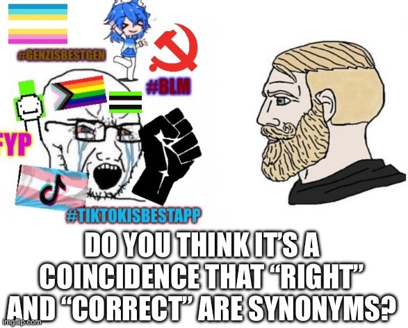 average liberal VS chad (Outdated) | DO YOU THINK IT’S A COINCIDENCE THAT “RIGHT” AND “CORRECT” ARE SYNONYMS? | image tagged in average liberal vs chad outdated | made w/ Imgflip meme maker