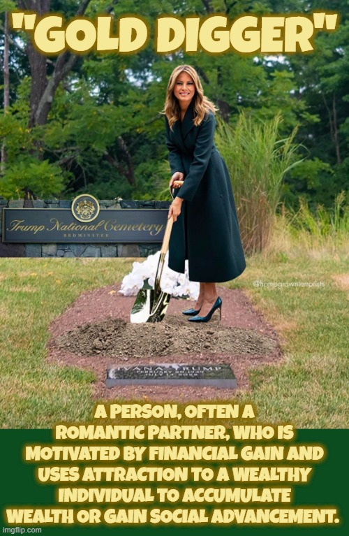 " GOLD DIGGER " | "GOLD DIGGER"; A PERSON, OFTEN A ROMANTIC PARTNER, WHO IS MOTIVATED BY FINANCIAL GAIN AND USES ATTRACTION TO A WEALTHY INDIVIDUAL TO ACCUMULATE WEALTH OR GAIN SOCIAL ADVANCEMENT. | image tagged in gold digger,trump,freeloader,prostitute,moneygrubber,hooker | made w/ Imgflip meme maker
