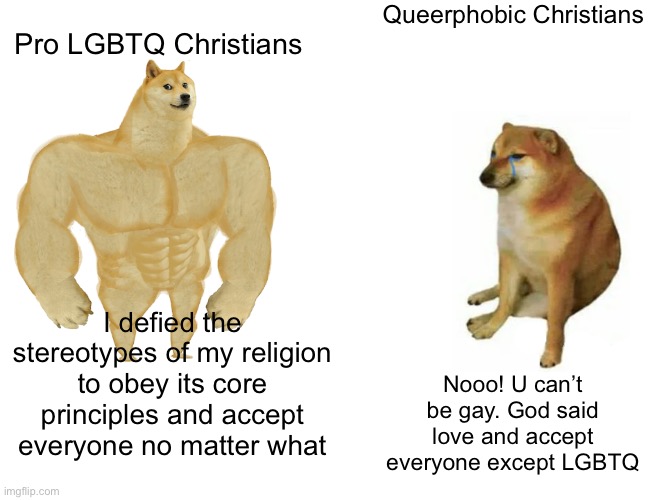 I don’t hate anyone for their religion. I hate bigots who use their religion as an excuse | Queerphobic Christians; Pro LGBTQ Christians; I defied the stereotypes of my religion to obey its core principles and accept everyone no matter what; Nooo! U can’t be gay. God said love and accept everyone except LGBTQ | image tagged in memes,buff doge vs cheems | made w/ Imgflip meme maker