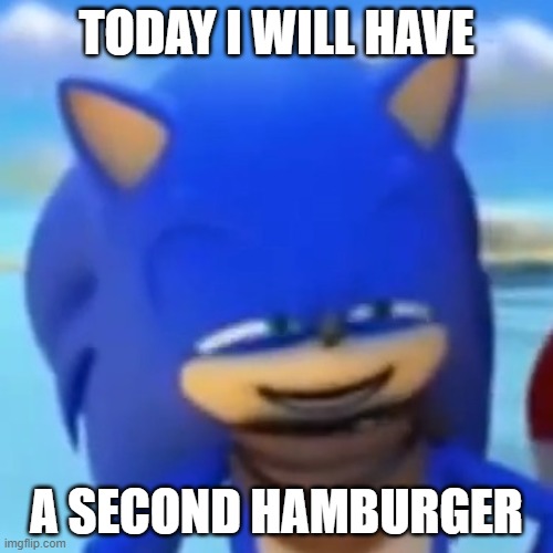 sonic smile | TODAY I WILL HAVE; A SECOND HAMBURGER | image tagged in sonic smile | made w/ Imgflip meme maker