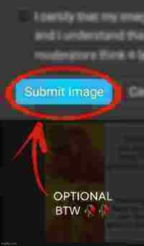 optional btw | image tagged in optional btw | made w/ Imgflip meme maker