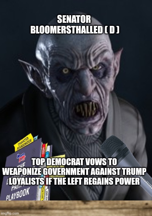democrats memes | SENATOR 
BLOOMERSTHALLED ( D ); TOP DEMOCRAT VOWS TO WEAPONIZE GOVERNMENT AGAINST TRUMP LOYALISTS IF THE LEFT REGAINS POWER | image tagged in violence | made w/ Imgflip meme maker