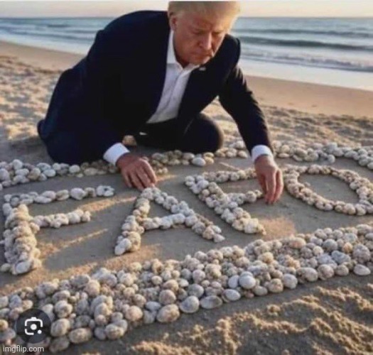 image tagged in political meme | made w/ Imgflip meme maker