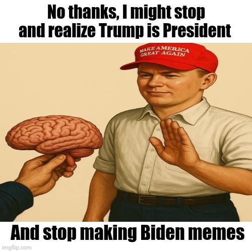 Blank Transparent Square Meme | No thanks, I might stop and realize Trump is President And stop making Biden memes | image tagged in memes,blank transparent square | made w/ Imgflip meme maker