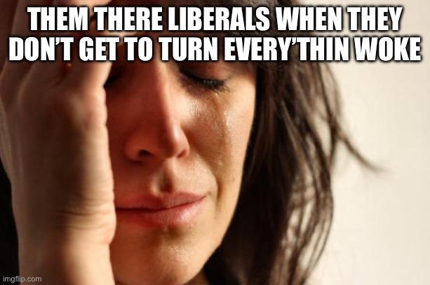 First World Problems | THEM THERE LIBERALS WHEN THEY DON’T GET TO TURN EVERY’THIN WOKE | image tagged in memes,first world problems | made w/ Imgflip meme maker