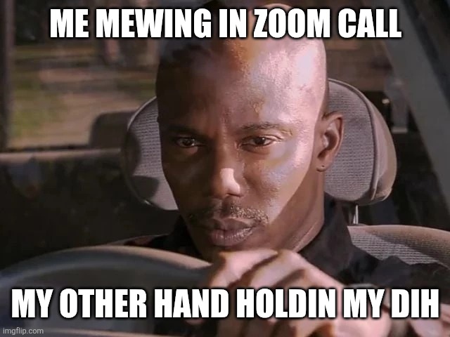 Slay diva | ME MEWING IN ZOOM CALL; MY OTHER HAND HOLDIN MY DIH | image tagged in dexter can't prove it | made w/ Imgflip meme maker