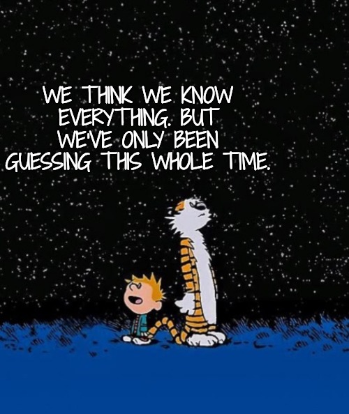 Big idea | WE THINK WE KNOW EVERYTHING. BUT WE'VE ONLY BEEN GUESSING THIS WHOLE TIME. | image tagged in big idea | made w/ Imgflip meme maker
