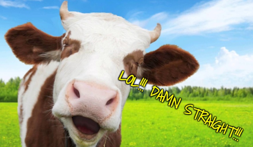 Laughing cow | LOL!!! DAMN STRAIGHT!!! | image tagged in laughing cow | made w/ Imgflip meme maker