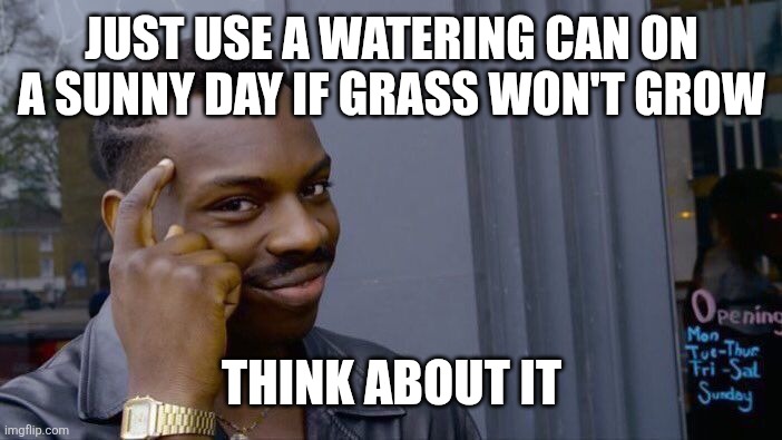 Roll Safe Think About It Meme | JUST USE A WATERING CAN ON A SUNNY DAY IF GRASS WON'T GROW THINK ABOUT IT | image tagged in memes,roll safe think about it | made w/ Imgflip meme maker