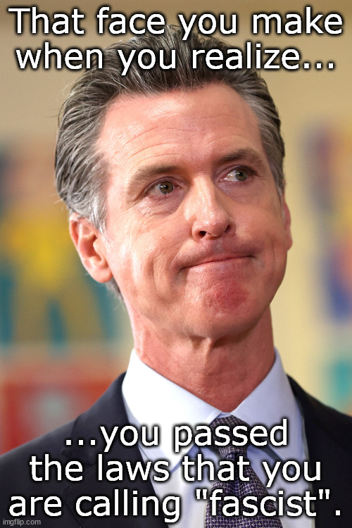 Derp | That face you make when you realize... ...you passed the laws that you are calling "fascist". | image tagged in gavin newsom,mental illness | made w/ Imgflip meme maker
