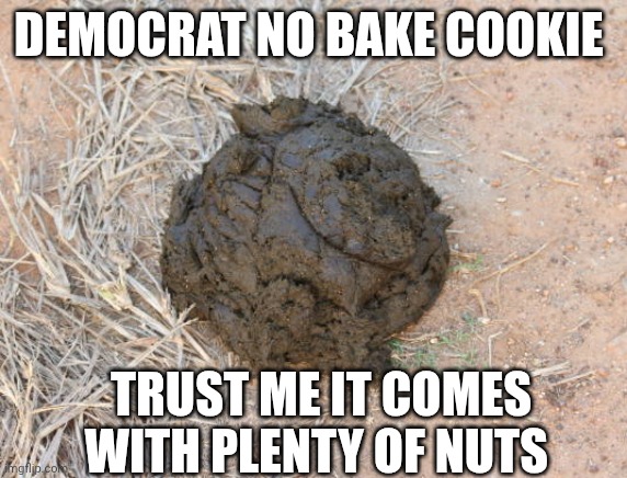 democrats memes | DEMOCRAT NO BAKE COOKIE; TRUST ME IT COMES WITH PLENTY OF NUTS | image tagged in democrats | made w/ Imgflip meme maker