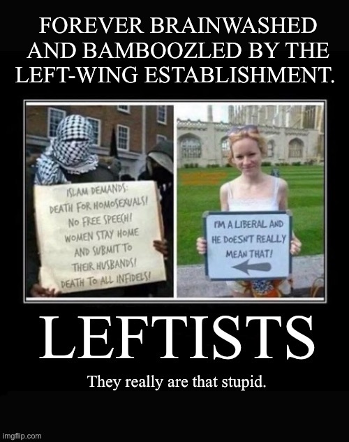 They don’t even realize that they’re being played… | FOREVER BRAINWASHED AND BAMBOOZLED BY THE LEFT-WING ESTABLISHMENT. | image tagged in political meme,leftists,jihadists,stupid,brainwaahed and bamboozled | made w/ Imgflip meme maker