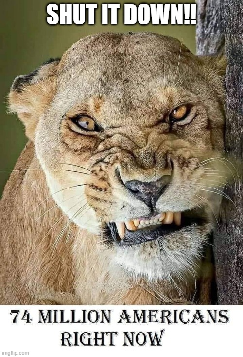 Shut it down | SHUT IT DOWN!! | made w/ Imgflip meme maker