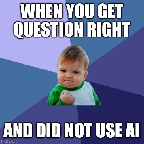 Success Kid | WHEN YOU GET QUESTION RIGHT; AND DID NOT USE AI | image tagged in memes,success kid | made w/ Imgflip meme maker