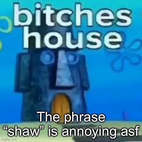 bitches house | The phrase “shaw” is annoying asf | image tagged in bitches house | made w/ Imgflip meme maker