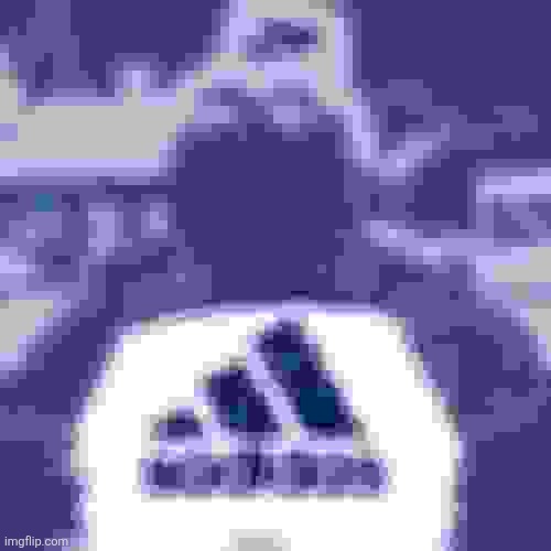 Sadidas | image tagged in sadidas | made w/ Imgflip meme maker