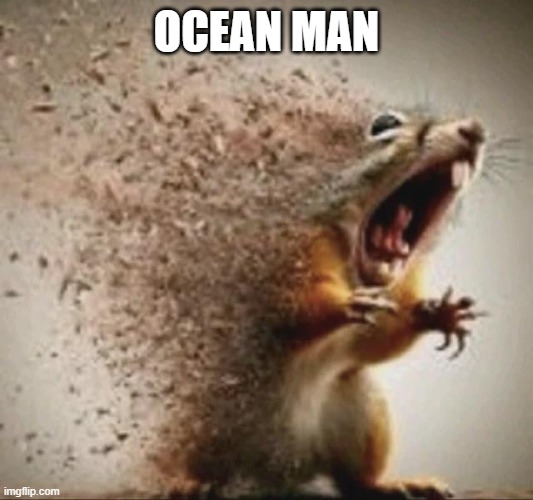ocean man | OCEAN MAN | image tagged in badass squirrel disintegrating | made w/ Imgflip meme maker