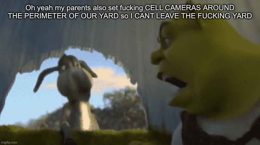 FOR 5 FUCKING MINUTES | Oh yeah my parents also set fucking CELL CAMERAS AROUND THE PERIMETER OF OUR YARD so I CANT LEAVE THE FUCKING YARD | image tagged in for 5 fucking minutes | made w/ Imgflip meme maker