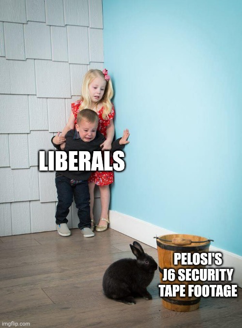 Kids Afraid of Rabbit | LIBERALS PELOSI'S J6 SECURITY TAPE FOOTAGE | image tagged in kids afraid of rabbit | made w/ Imgflip meme maker