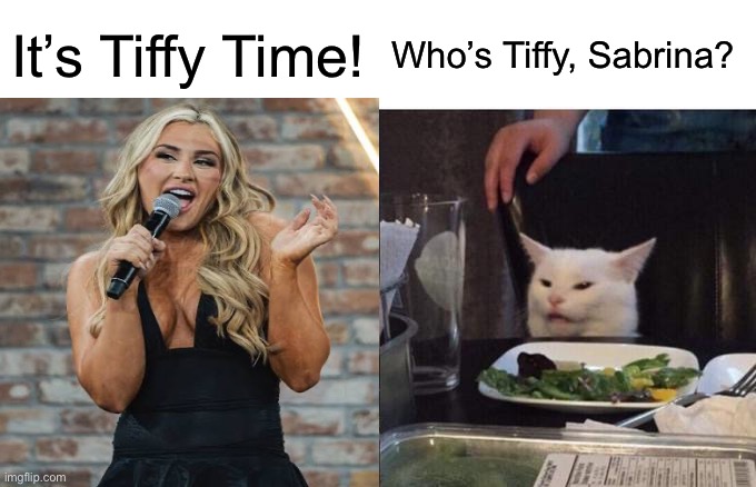 Tiffy Time? Sabrina Time? | It’s Tiffy Time! Who’s Tiffy, Sabrina? | image tagged in memes,woman yelling at cat | made w/ Imgflip meme maker