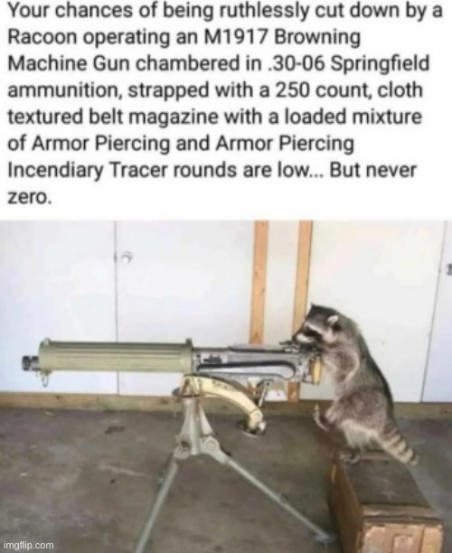 lmao | image tagged in memes,funny,relatable,raccoon operating an m1917 browning machine gun | made w/ Imgflip meme maker