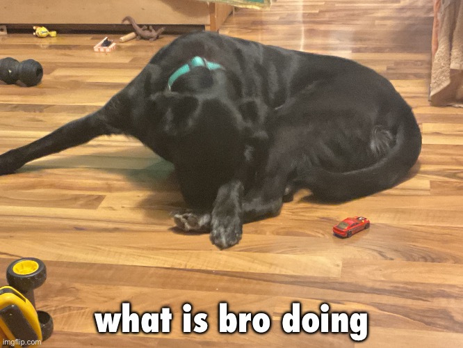 gn for real now | what is bro doing | made w/ Imgflip meme maker
