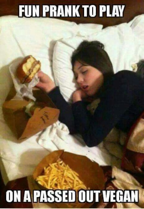 Passed Out Vegan | image tagged in passed out,vegans,pranks,meat,funny memes,fun | made w/ Imgflip meme maker