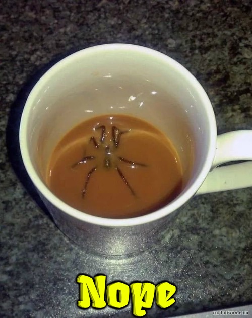 Nope | Nope | image tagged in nope,nope nope nope,oh hell no,yuck,spiders,arachnophobia | made w/ Imgflip meme maker