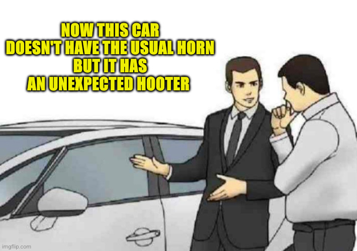 Car Salesman Slaps Roof Of Car Meme | NOW THIS CAR DOESN'T HAVE THE USUAL HORN
BUT IT HAS AN UNEXPECTED HOOTER | image tagged in memes,car salesman slaps roof of car | made w/ Imgflip meme maker